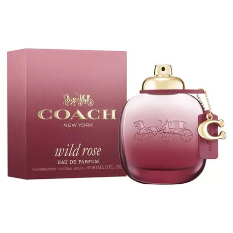 coach perfume women wild rose.